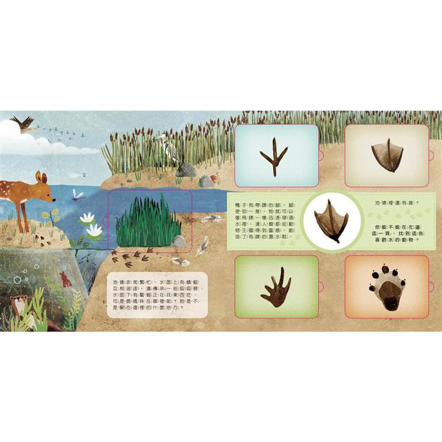 動物小知識翻翻書：這是誰的腳印？